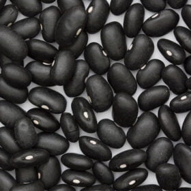 Beans-Black-1-iTrade