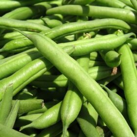 Beans-Green-iTrade