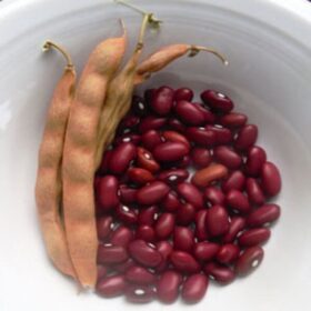 Beans-Red-iTrade