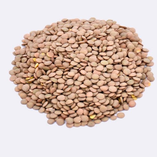 Lentils-main-image-product-itrade