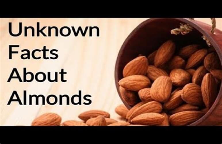 All facts about almonds