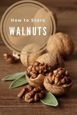 How-to-Store-Walnuts