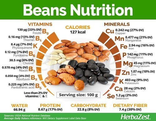 Beans-Nutrition-Facts-iTrade