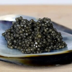 Sturgeon-Caviar-iTrade