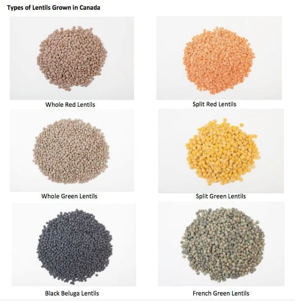 Types-of-Lentils-Grown-in-Canada-iTrade